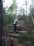 Dumoine River (Jul 2012) - B and S (1) - 139

